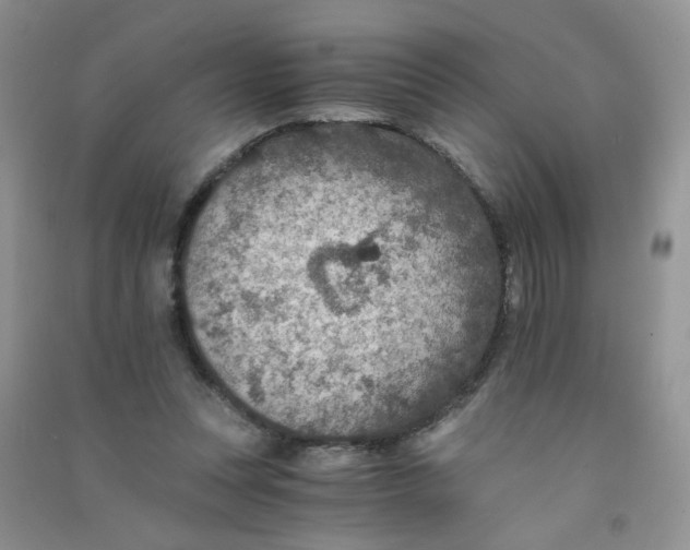 X0000090700351200708171851