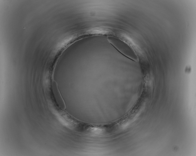 X0000090700352200708171851