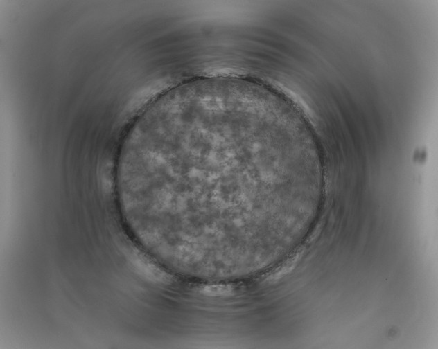 X0000090700353200708171851