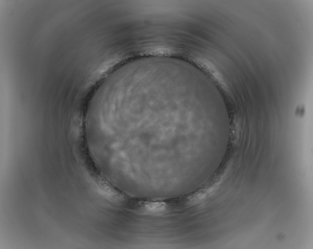 X0000090700355200708171851