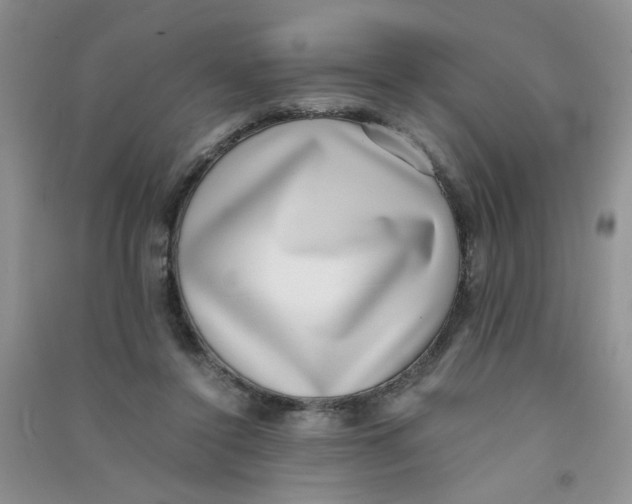 X0000090700356200708171851