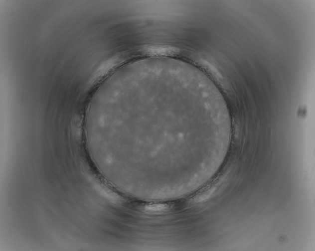 X0000090700357200708171851