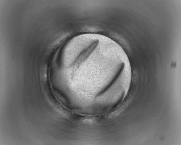 X0000090700358200708171851