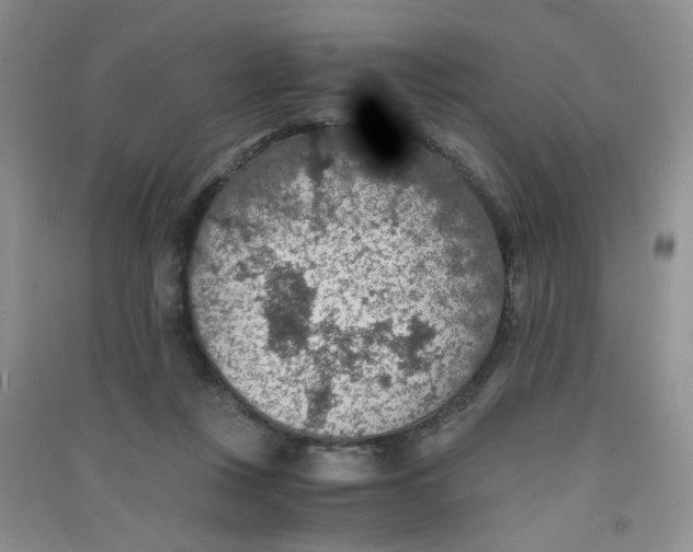 X0000090700359200708171851