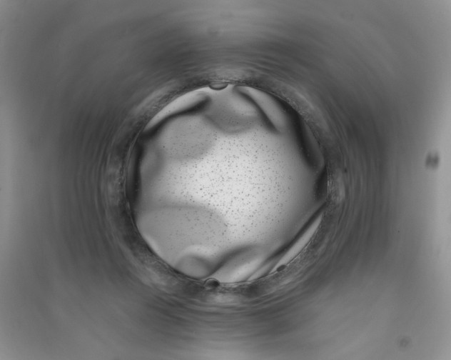 X0000090700360200708171851