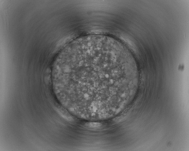 X0000090700361200708171851