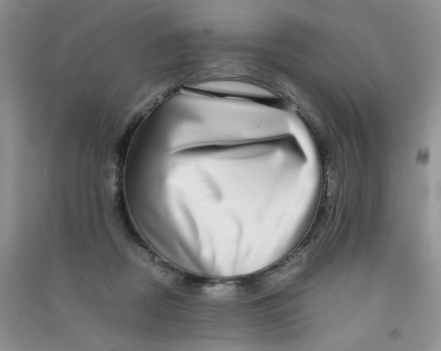 X0000090700362200708171851