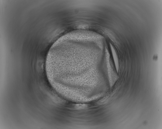 X0000090700363200708171851