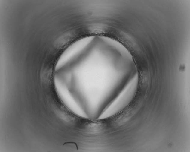 X0000090700364200708171851