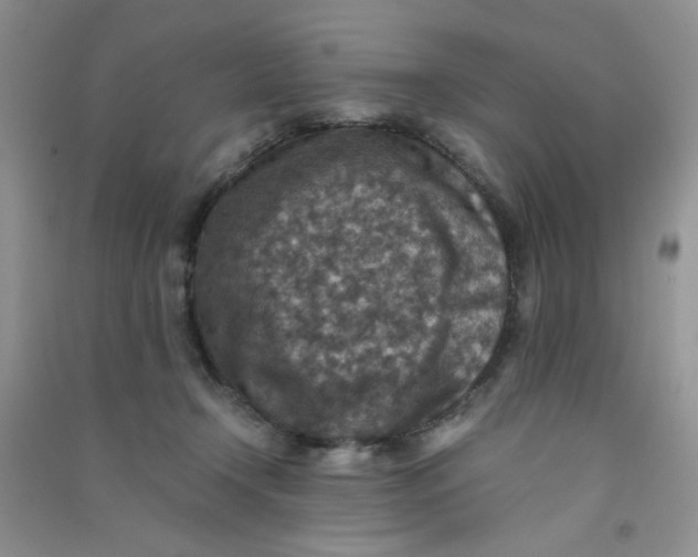 X0000090700366200708171851