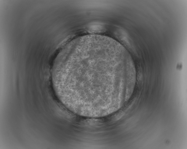 X0000090700367200708171851