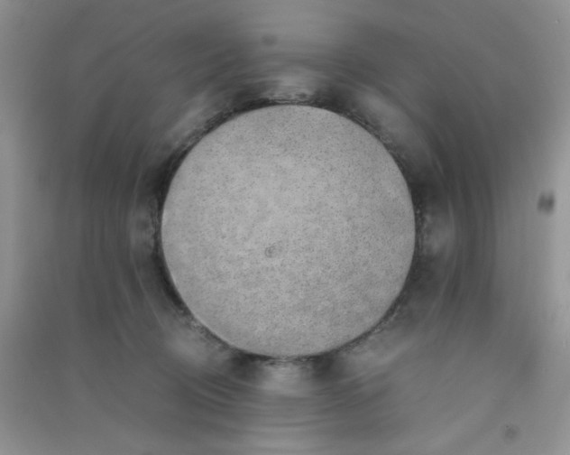 X0000090700370200708171851