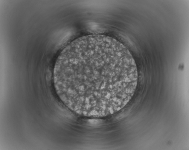 X0000090700371200708171851