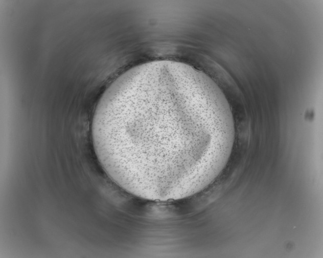 X0000090700372200708171851