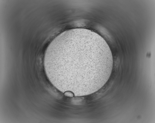 X0000090700373200708171851