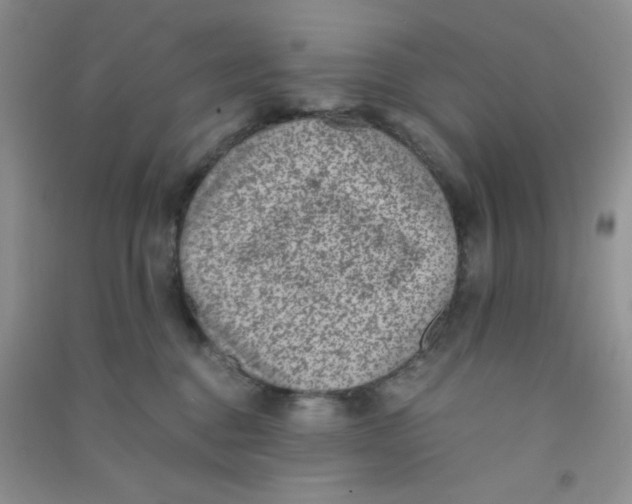 X0000090700376200708171851