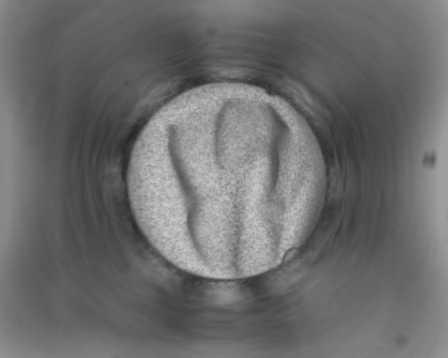 X0000090700377200708171851