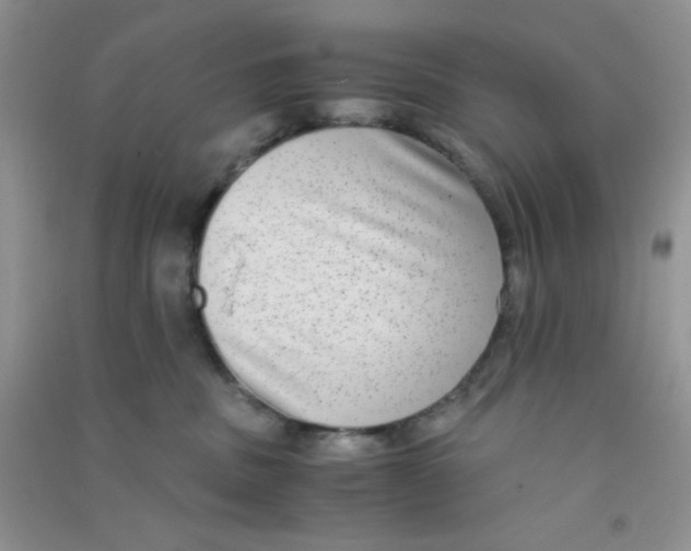 X0000090700379200708171851