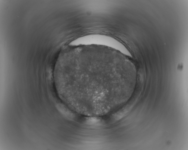 X0000090700380200708171851