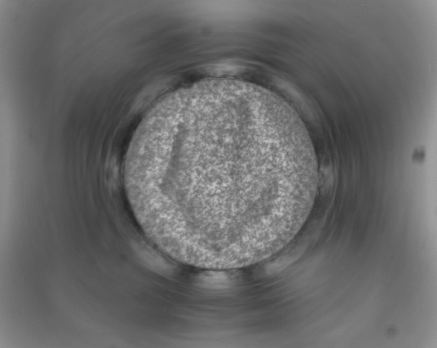 X0000090700381200708171851