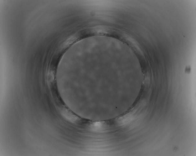 X0000090700382200708171851