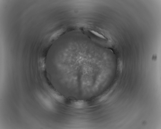 X0000090700383200708171851