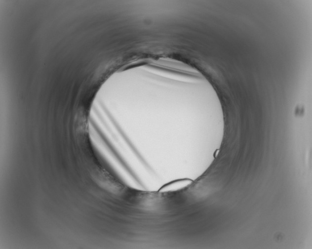 X0000090700384200708171851