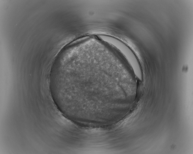 X0000090700385200708171851