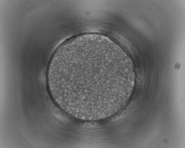 X0000090700386200708171851