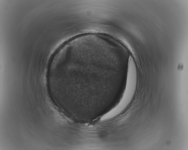 X0000090700387200708171851