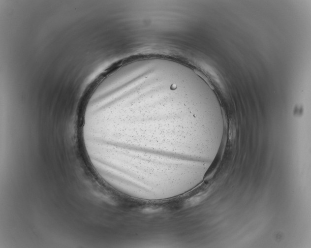 X0000090700388200708171850