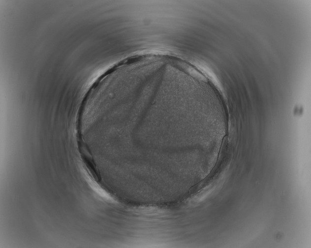 X0000090700389200708171850