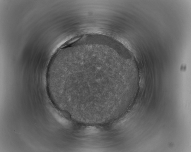 X0000090700390200708171850