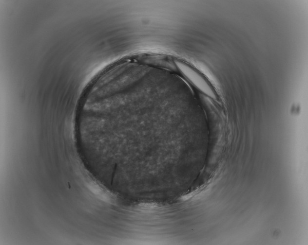 X0000090700391200708171850