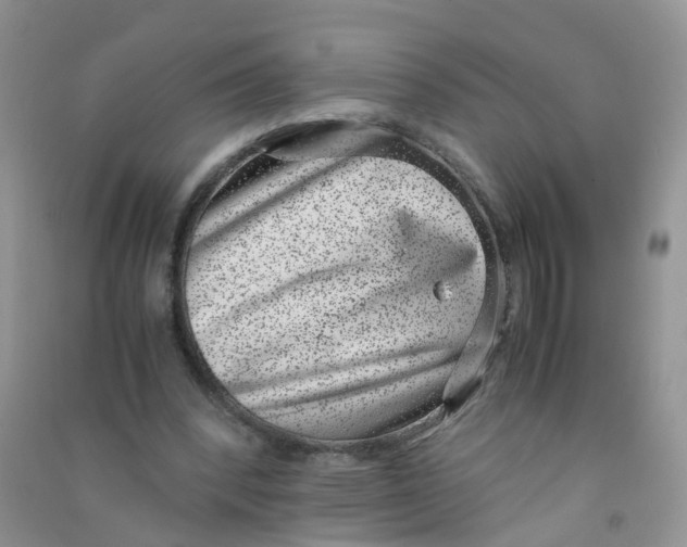 X0000090700392200708171850