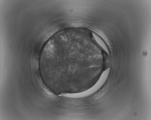 X0000090700393200708171850