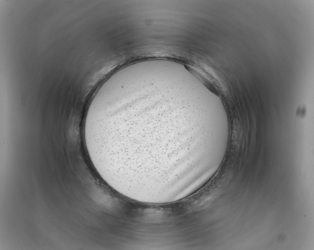 X0000090700394200708171850