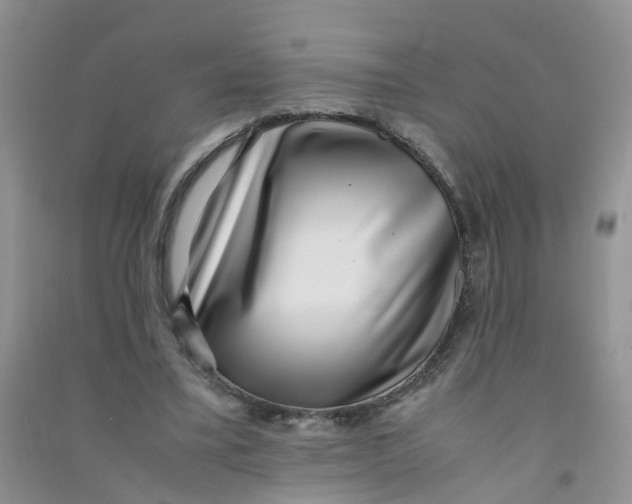 X0000090700395200708171850