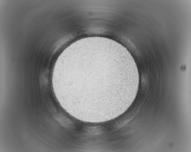 X0000090700396200708171850