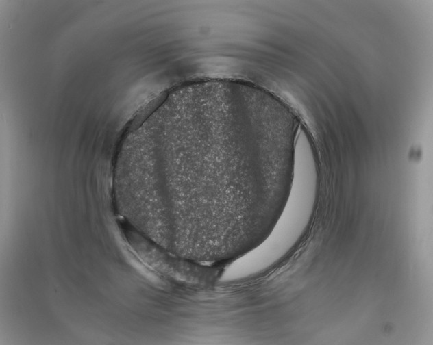 X0000090700397200708171850