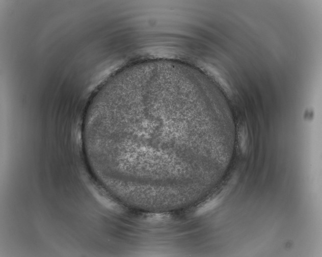 X0000090700398200708171850