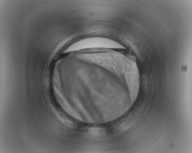 X0000090700400200708171850