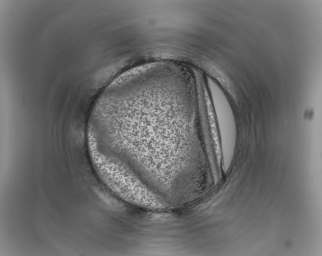 X0000090700401200708171850