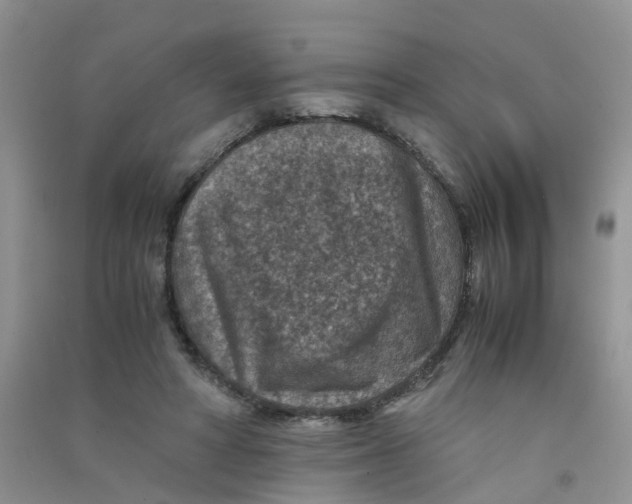 X0000090700402200708171850