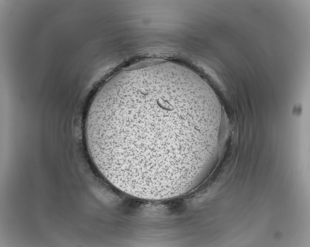 X0000090700403200708171850