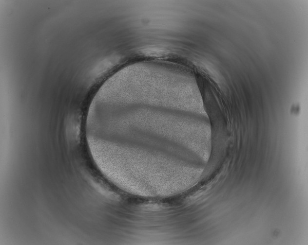 X0000090700404200708171850