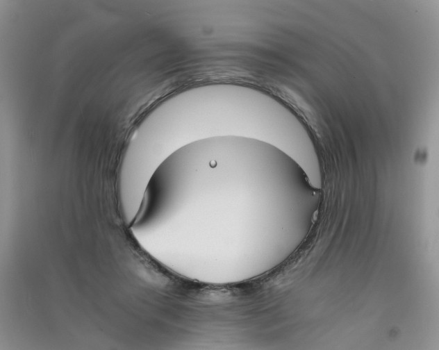 X0000090700405200708171850