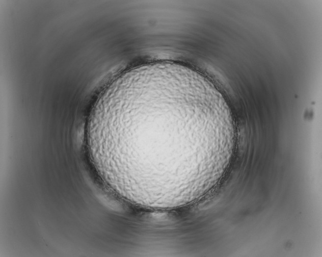 X0000090700406200708171850