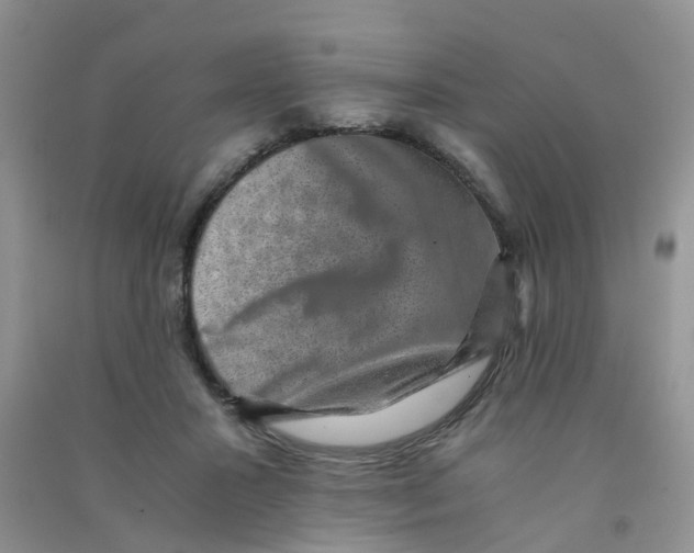 X0000090700407200708171850