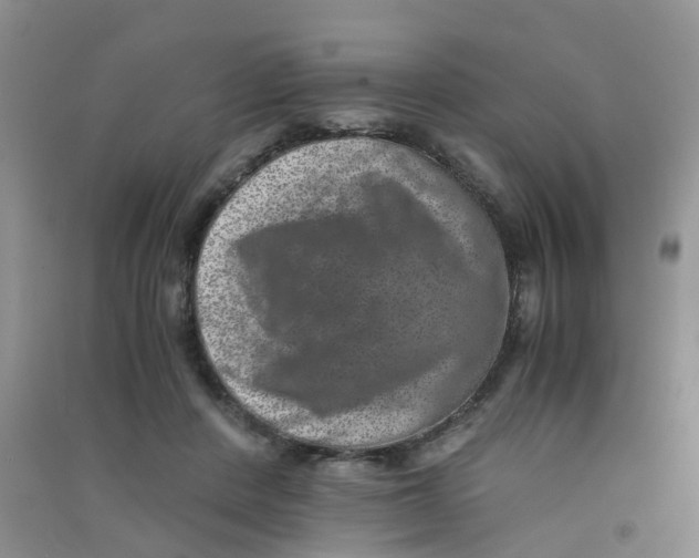 X0000090700408200708171850